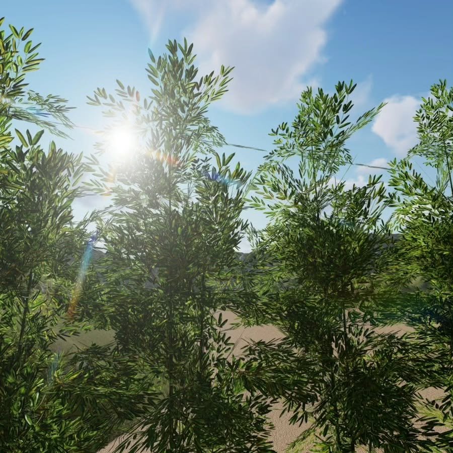 Modern Bahçe Aydınlatma