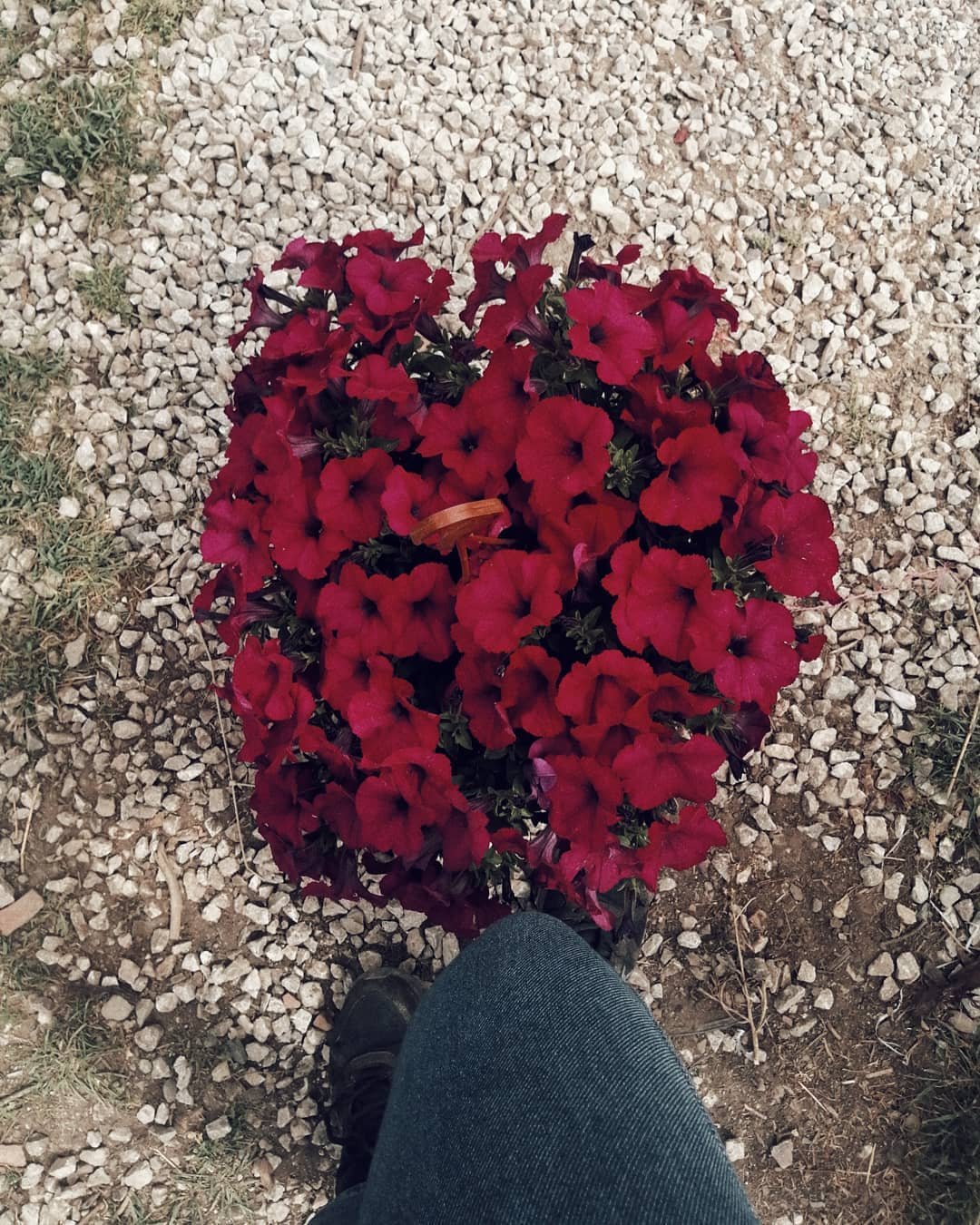 Peyzaj Detay Çalışması